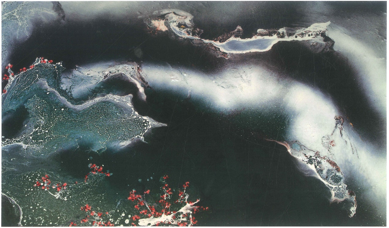 H.H.第三世多杰羌佛工巧明之油画 2021-01-24 09:41-图片4